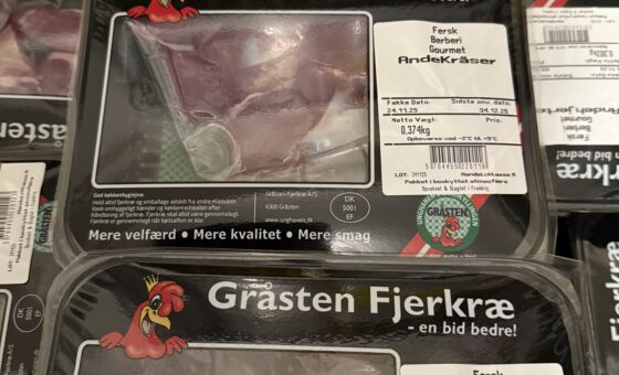 Frilands Andeindmad eller Andefedt af Berberi Ænder.